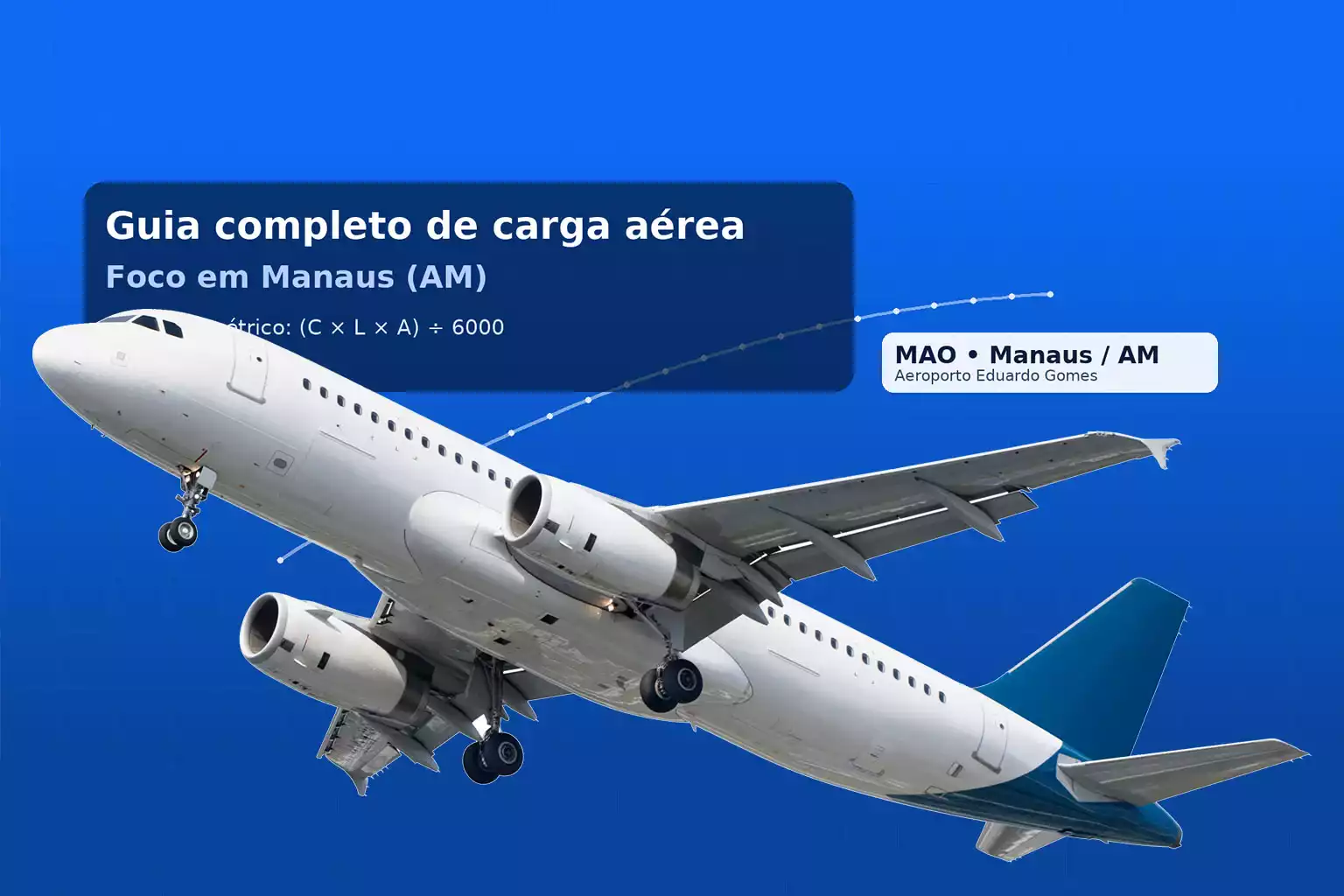 Guia completo de carga aérea (Manaus)